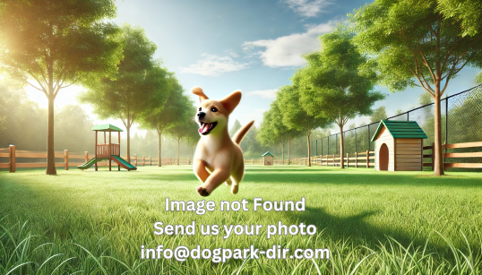 Dog Beach Dog Park