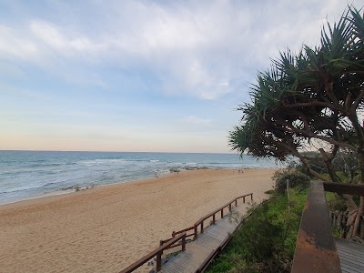Dog beach