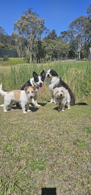 Salix Reserve East