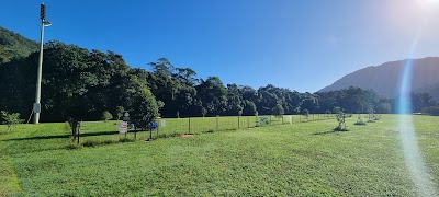 Dog Exercise Area