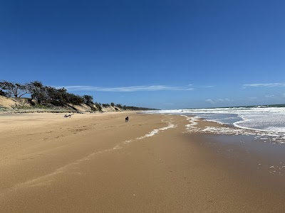 Off leash dog beach