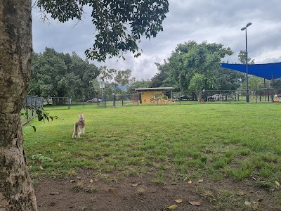 Off leash dog Park