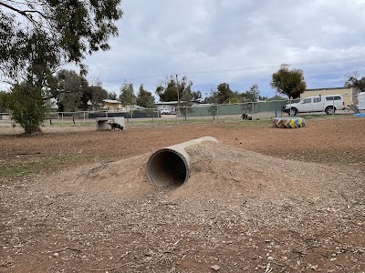 Dog Park