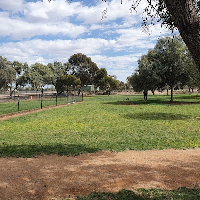 Renmark Dog Park
