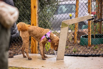 Cliff Whitworth Reserve Dog Park Off Leash