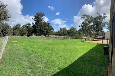 Kimz Dog Park   Private SOR